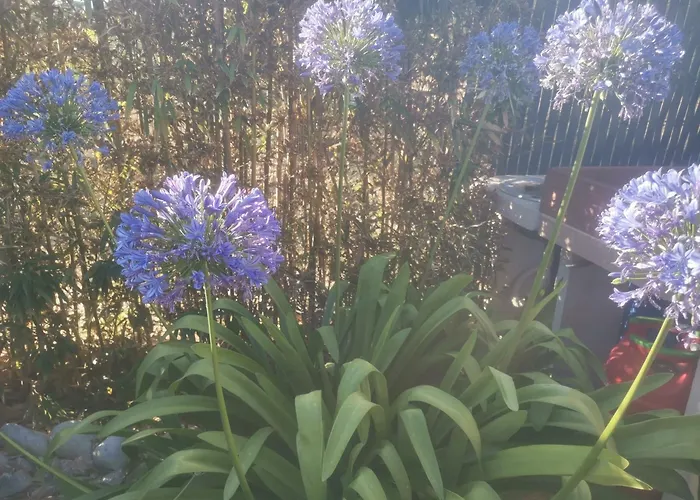 Camille アパート Sainte-Valière